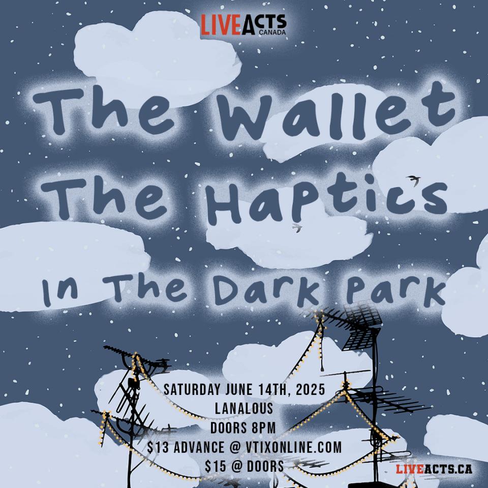 The Wallet w/ The Haptics, In The Dark Park